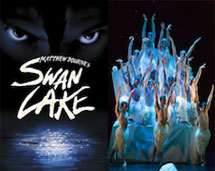 New Adventures. Swan Lake.